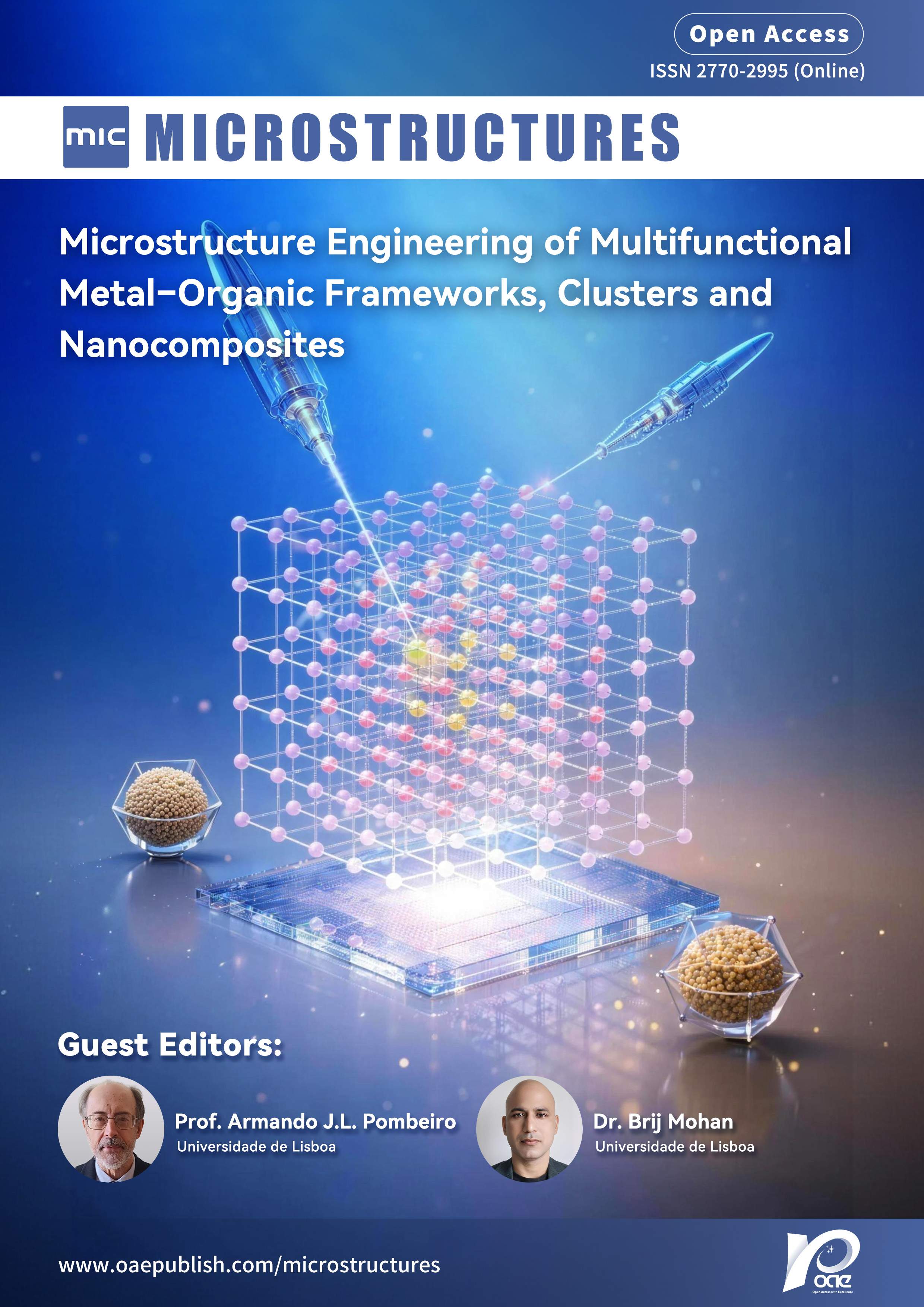 Topic: Microstructure Engineering of Multifunctional Metal–Organic Frameworks, Clusters and Nanocomposites