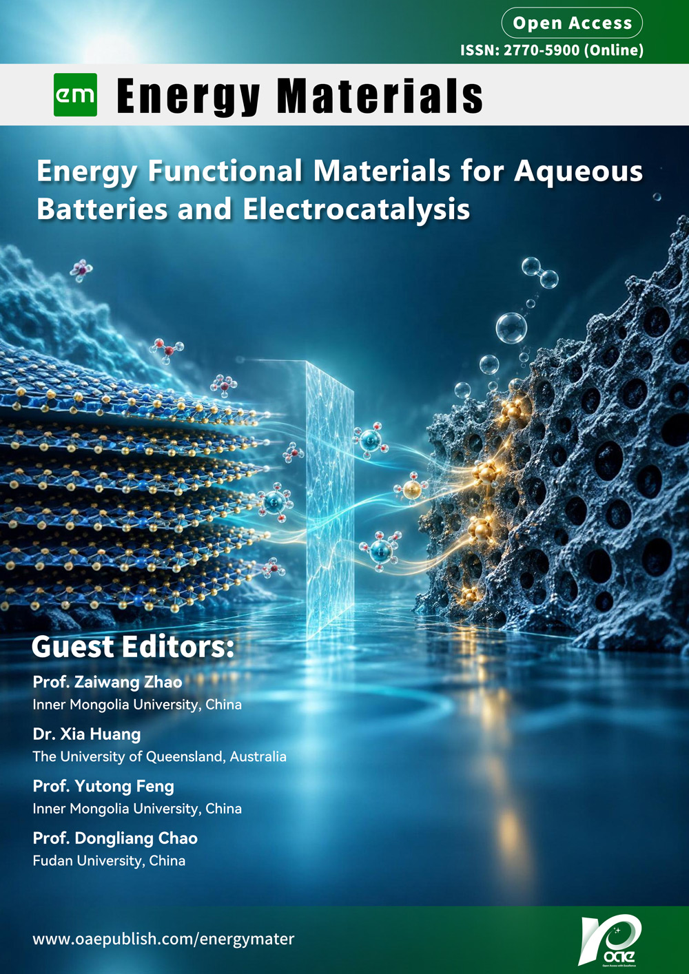 Topic: Energy Functional Materials for Aqueous Batteries and Electrocatalysis