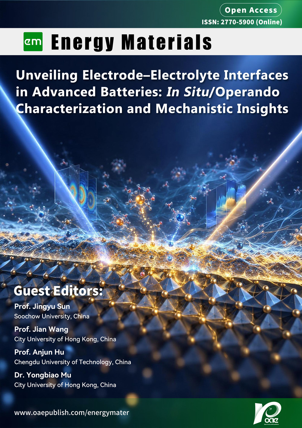 Topic: Unveiling Electrode–Electrolyte Interfaces in Advanced Batteries: In Situ/Operando Characterization and Mechanistic Insights